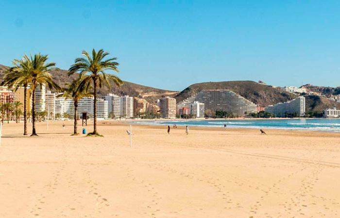 Apartamento Ensueno En Cullera Playa San Antonio Zewnętrze zdjęcie